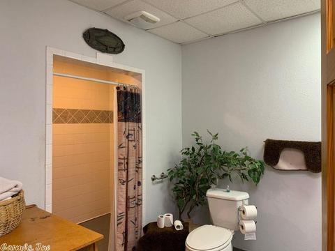 3556 County Road 108, Norfork, AR 72658 photo 15
