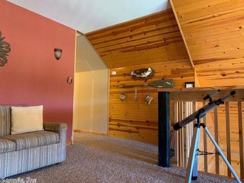 3556 County Road 108, Norfork, AR 72658 photo 12