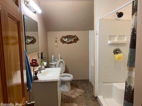 3556 County Road 108, Norfork, AR 72658 photo 21