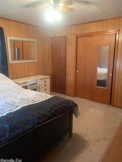 136 Frontier Dr, Williford, AR 72482 photo 12