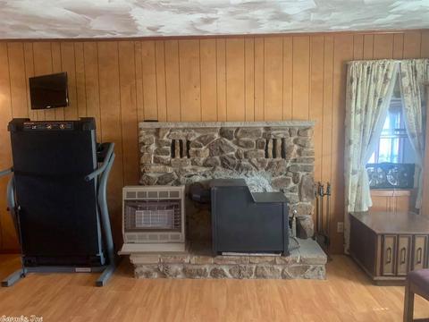 136 Frontier Dr, Williford, AR 72482 photo 10