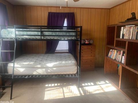 136 Frontier Dr, Williford, AR 72482 photo 13