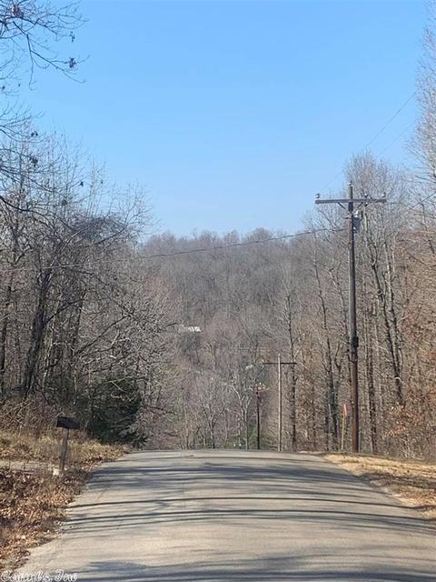 136 Frontier Dr, Williford, AR 72482 photo 2