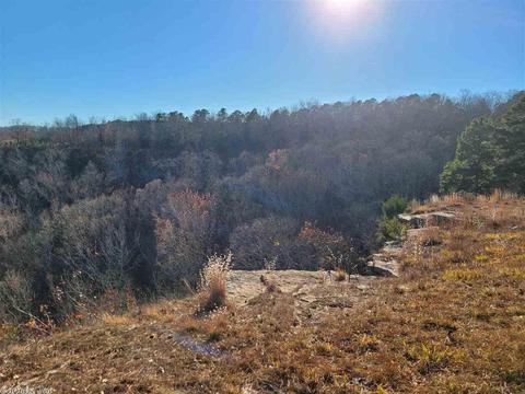 325 E Bluff Dr, Quitman, AR 72131 photo 34