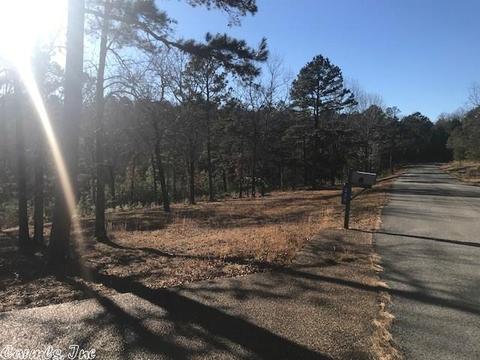 325 E Bluff Dr, Quitman, AR 72131 photo 33