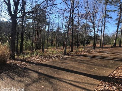 325 E Bluff Dr, Quitman, AR 72131 photo 32