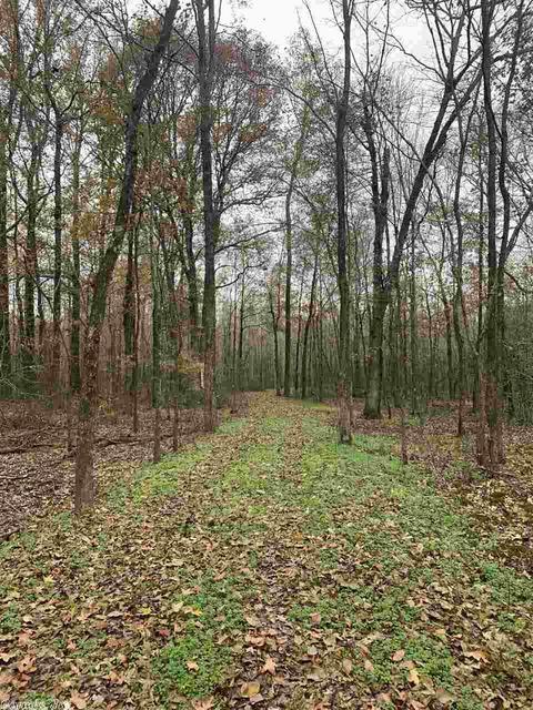 100 Brown Ln, Eudora, AR 71640 photo 9