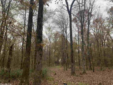 100 Brown Ln, Eudora, AR 71640 photo 3
