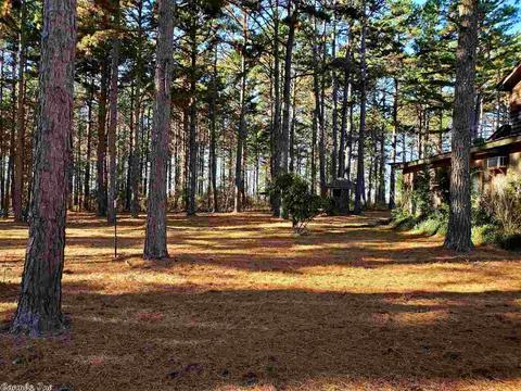35 Eagle Pt, Quitman, AR 72131 photo 25