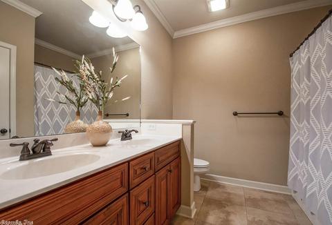 3118 Dapple Gray, Benton, AR 72015 photo 32