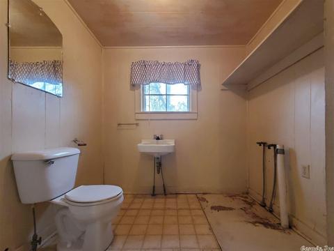 306 Bruce St, Horatio, AR 71842 photo 9