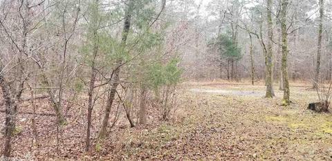2888 Gaston Rd, Mount Ida, AR 71957 photo 18