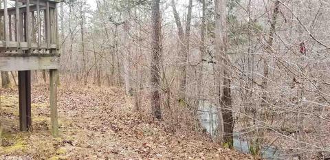 2888 Gaston Rd, Mount Ida, AR 71957 photo 12