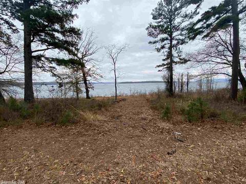 89 Castle Point Rd, Drasco, AR 72530 photo 33