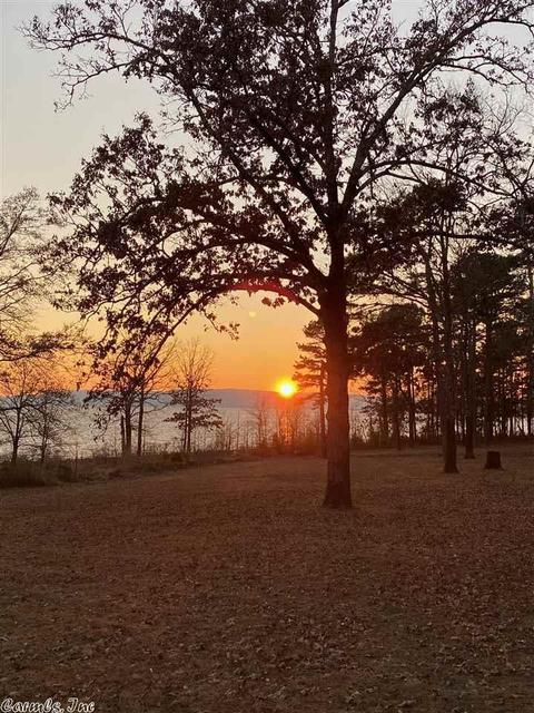 89 Castle Point Rd, Drasco, AR 72530 photo 40