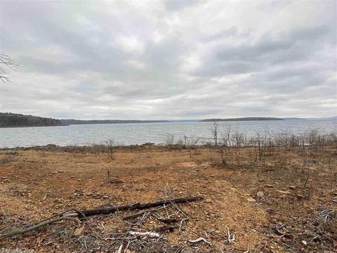 89 Castle Point Rd, Drasco, AR 72530 photo 34