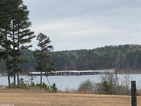 89 Castle Point Rd, Drasco, AR 72530 photo 4