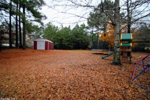 12706 Sioux Trail Dr, Alexander, AR 72002 photo 18