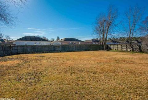 1301 Wilson Loop, Ward, AR 72176 photo 37