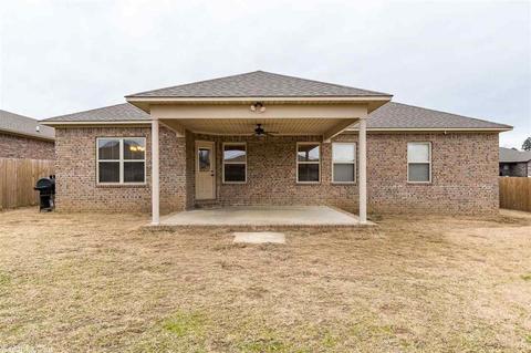 14 Marlin Dr, Austin, AR 72007 photo 38