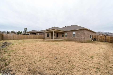14 Marlin Dr, Austin, AR 72007 photo 39