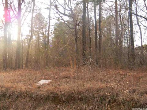 tbd Whiteaker, Pine Bluff, AR 71603 photo 4
