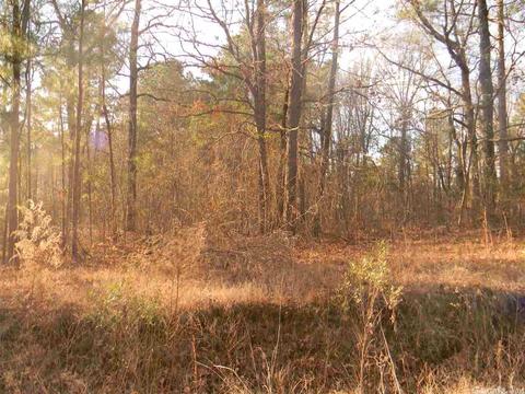 tbd Whiteaker, Pine Bluff, AR 71603 photo 1