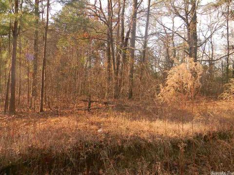 tbd Whiteaker, Pine Bluff, AR 71603 photo 2
