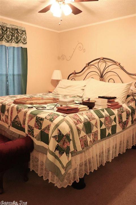 6 Waterfront Cv, Conway, AR 72032 photo 18