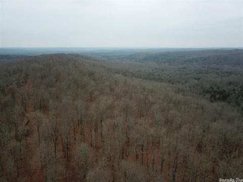 tbd Schales, Sitka, AR 72482 photo 37