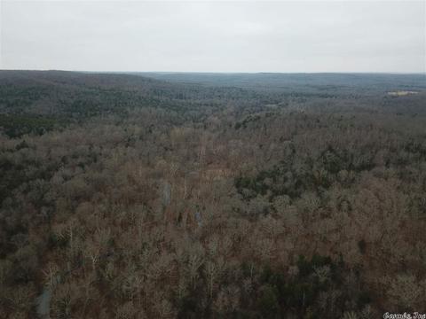 tbd Schales, Sitka, AR 72482 photo 12
