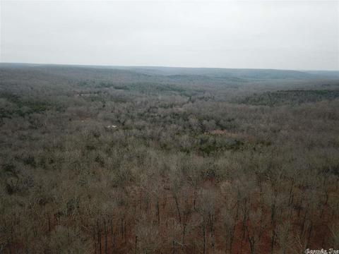 tbd Schales, Sitka, AR 72482 photo 36