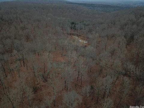 tbd Schales, Sitka, AR 72482 photo 39