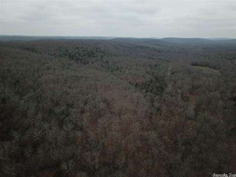 tbd Schales, Sitka, AR 72482 photo 9