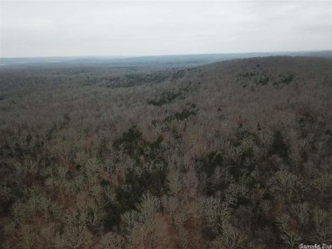 tbd Schales, Sitka, AR 72482 photo 14
