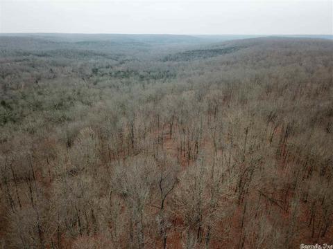 tbd Schales, Sitka, AR 72482 photo 32