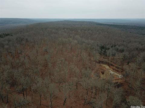 tbd Schales, Sitka, AR 72482 photo 40