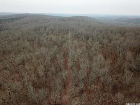 tbd Schales, Sitka, AR 72482 photo 30