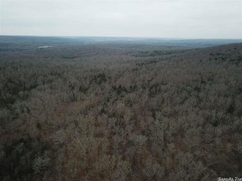 tbd Schales, Sitka, AR 72482 photo 11