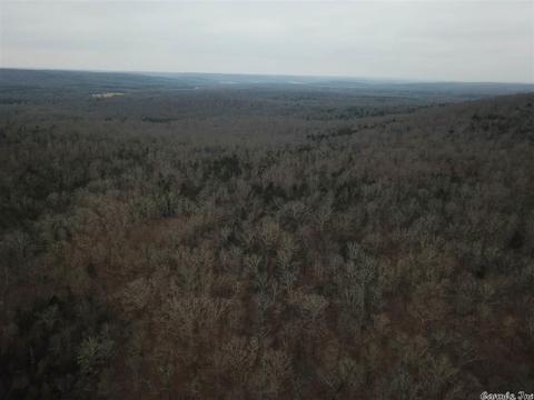 tbd Schales, Sitka, AR 72482 photo 10