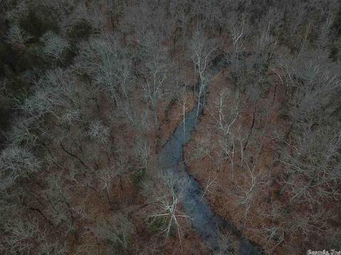 tbd Schales, Sitka, AR 72482 photo 16