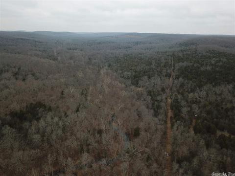 tbd Schales, Sitka, AR 72482 photo 5