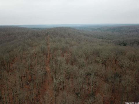 tbd Schales, Sitka, AR 72482 photo 34
