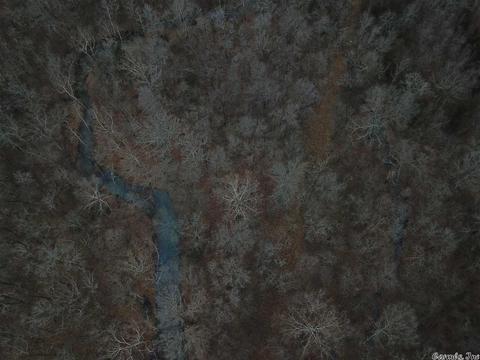 tbd Schales, Sitka, AR 72482 photo 4