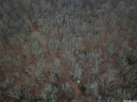 tbd Schales, Sitka, AR 72482 photo 29