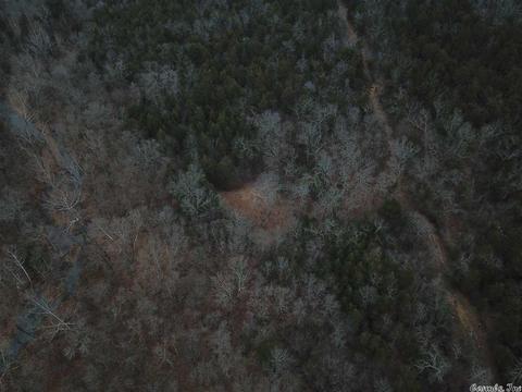 tbd Schales, Sitka, AR 72482 photo 7