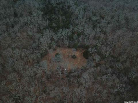 tbd Schales, Sitka, AR 72482 photo 8