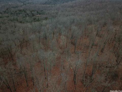 tbd Schales, Sitka, AR 72482 photo 35