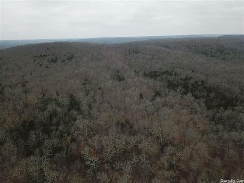 tbd Schales, Sitka, AR 72482 photo 15