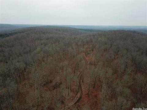 tbd Schales, Sitka, AR 72482 photo 38